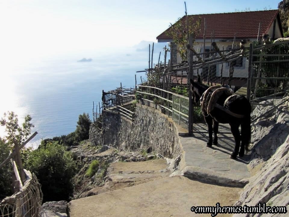 Amalfi Coast - Path of the Gods hike